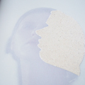 collage sable
